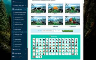 Shop for Life is Feudal